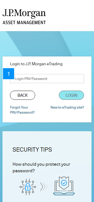 Enter your Login Password. Press “Login” to proceed.